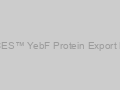 ACES™ YebF Protein Export Kit